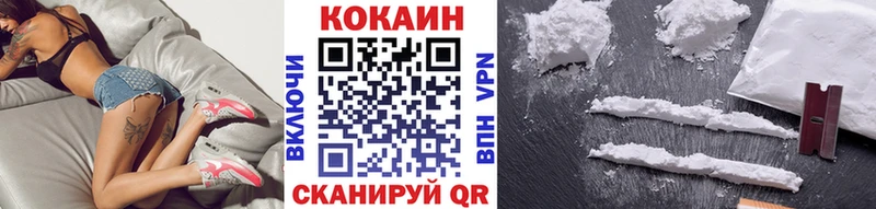 где купить   это наркотические препараты  COCAIN Fish Scale  Суоярви 